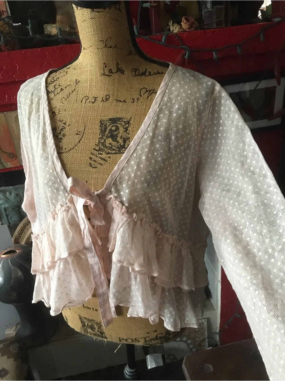 Heart’s Desire by Mary Grace Sheer Blush Pink Ruffled Tie-Front top - Picture 9 of 14